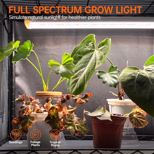 4 Tier Indoor Greenhouse with Grow Light