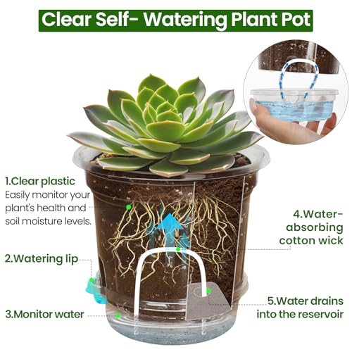 Self Watering Pots for Indoor Plants (6.5 Inch-12Pcs)