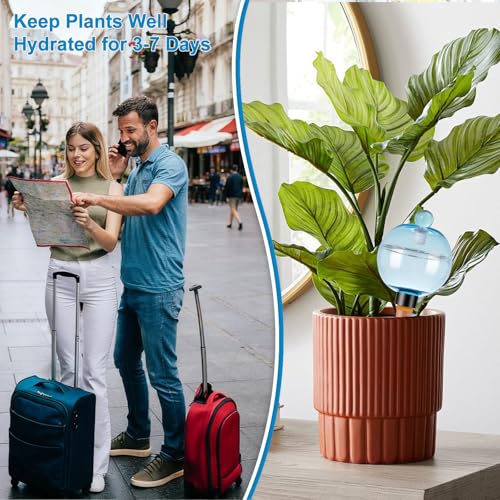 2 Pack Self Watering Globes 17oz Large Plant Watering Globes Top Fill (2 Count)