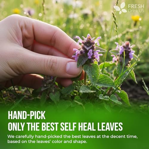 Premium Self Heal Leaves Tea (40 Tea Bags)