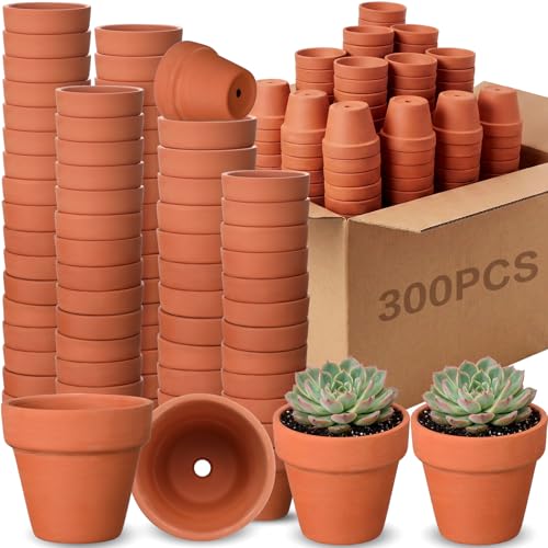 300 Pcs Mini 2" Terracotta Pot Bulk Small Plant Pots