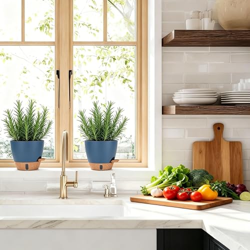 5 Pack Self Watering Planter Pots 10 (Blue / 6.5/7/8/9/10 Inch)