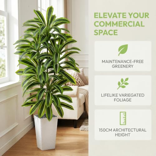 Artificial Dracaena Tree (Light Green – White Pot / 5FT)