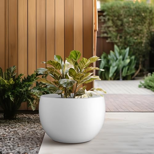 Accent Round Bowl White Concrete Planter 15.7" Dia (Pure White / 15.7" d)