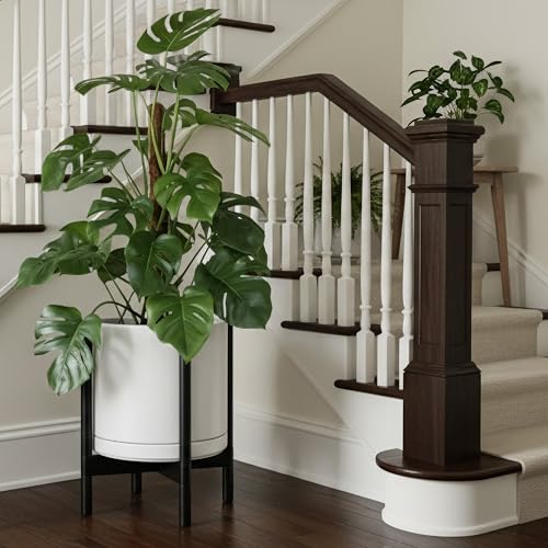 Ceramic Pot with Ebony Wood Stand (14 Inch / White Pot + Ebony Stand)