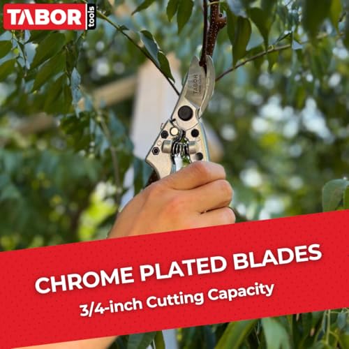 S834A Bypass Pruning Shears for Medium to Large Hands (S834A Bypass Pruning Shears)