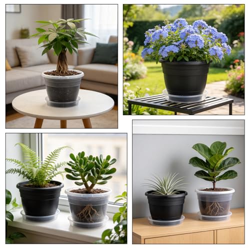 10 Pack 8 Inch Clear Nursery Pots with Drainage Holes & Saucers (Clear / 8 inch)
