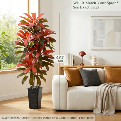Artificial Dracaena Tree (Burgundy – Black Pot / 6FT)