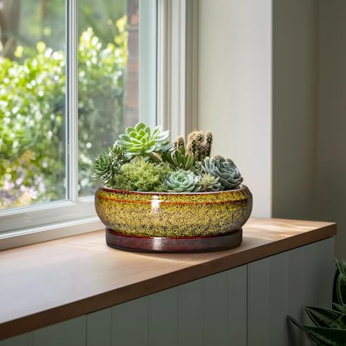 Succulent Pots Large (13 Inch / Leopard Yellow)