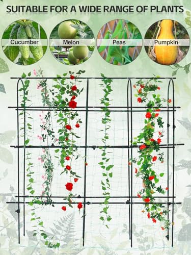 6FT Garden Trellis for Climbing Plant