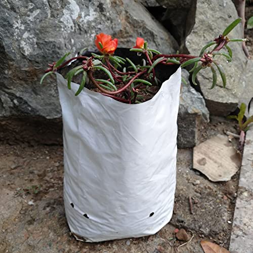 R Plastic Grow Bags Poly Planters Panda Film Black and White 5 Gallon 25pcs (25 Count)