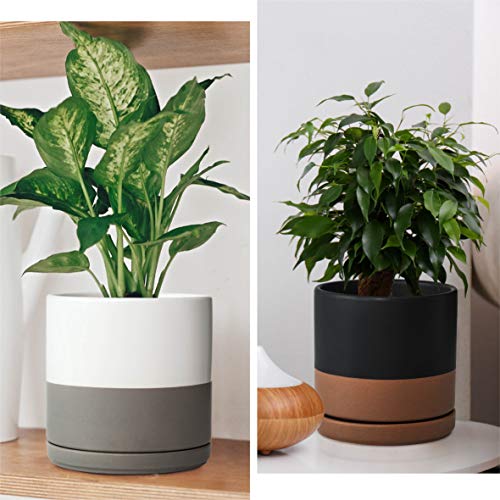 Set of 2 Plants Pots (2 Count)