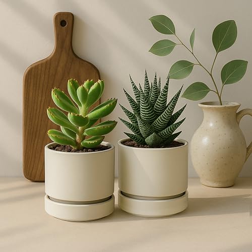 4 Inch Planter Pot with Drainage Hole & Saucer (4" (6 Pack) / Oatmeal)