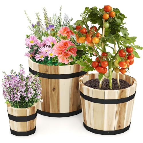 Wooden Plant Pots (3 Count)