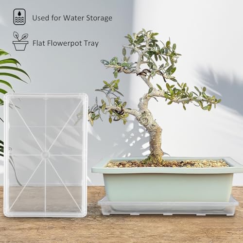 Clear Seed Starter Trays 5 Pack (Clear / Holding Trays-5P)