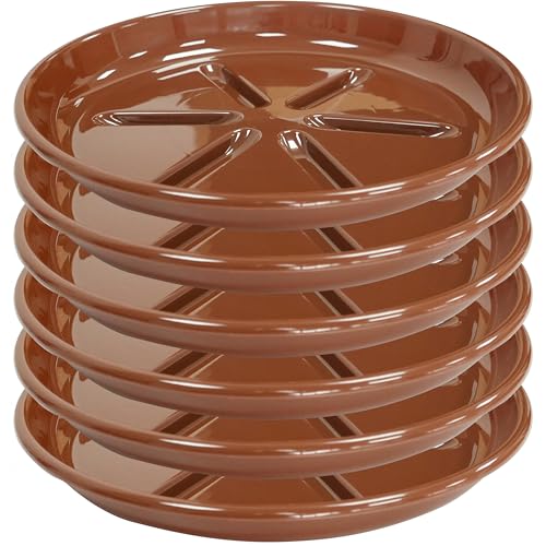 6 Pack of Plant Saucer 6 inch (6in*6 / Beown)