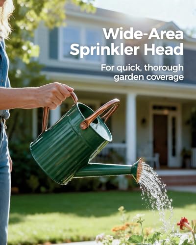 Metal Watering Can for Indoor Outdoor Plant 1 (Deep Green)