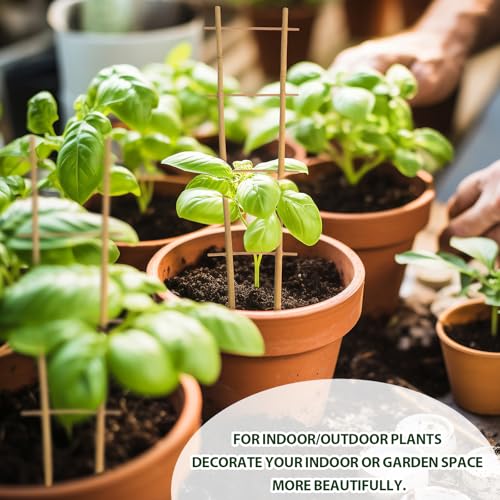 Bamboo Trellis 10 Pack (16in Ladder Shaped, Pack of 10)