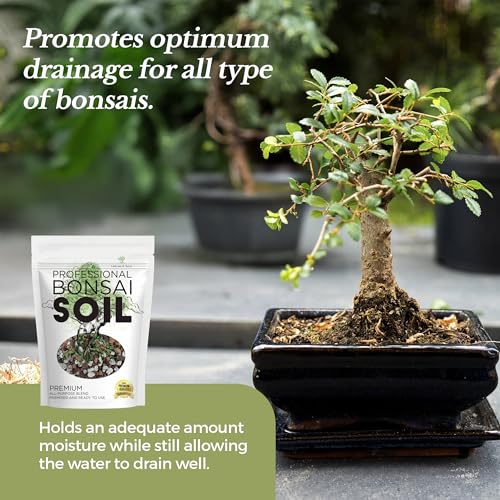 Professional Bonsai Soil Mix Ready to Use
