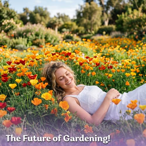 3 000 California Poppy Mix Heirloom Flower Seeds