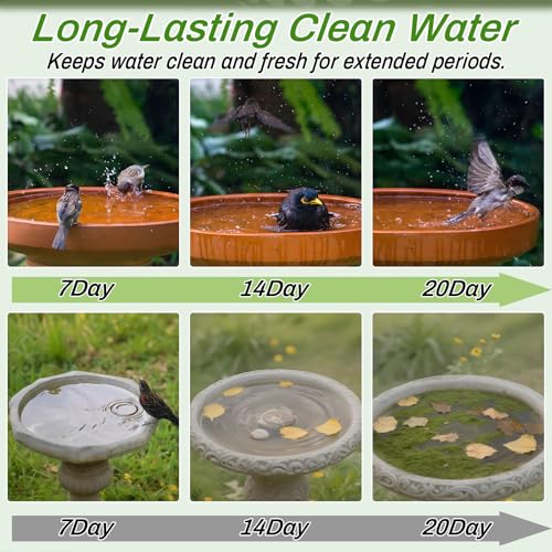 Bird Bath Copper Disk (1Pcs)