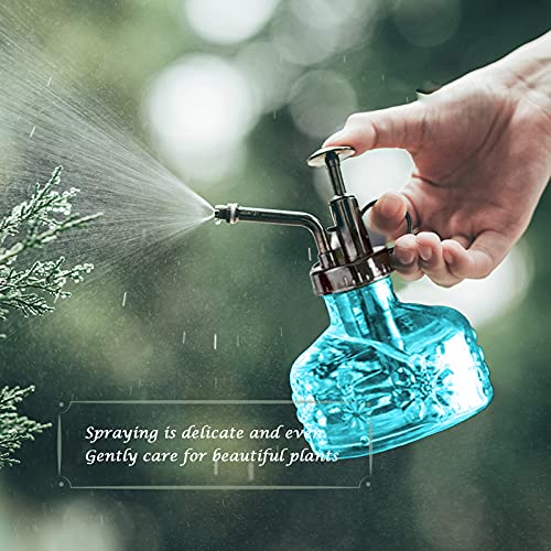Glass Plant Mister Spray Bottle for Indoor Plant Spritzer Succulent Watering Bottle Tall Vintage Style with Bronze Plastic Top Pump