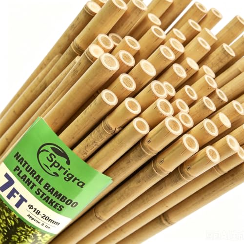 50pcs Bamboo Stakes 7FT (7FT, Pack of 50)