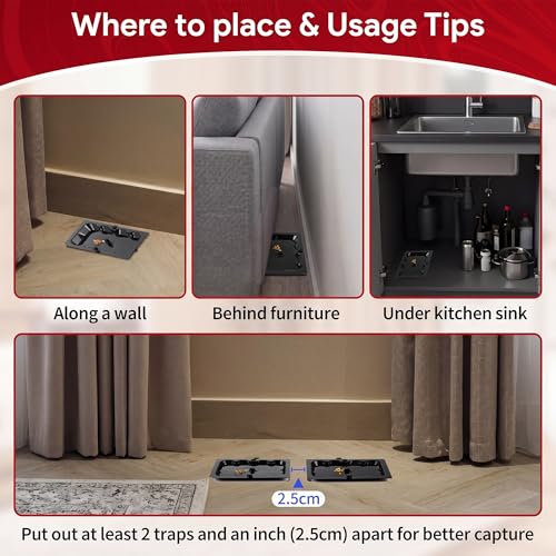100 Pack Mouse Glue Traps (Black)