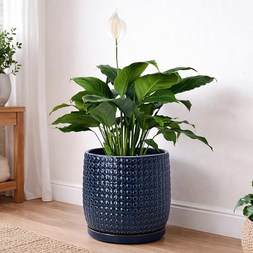 Beaded Ceramic Pot with Saucer (8.8 Inch / Midnight Blue)