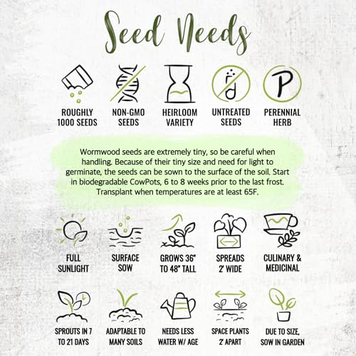 Wormwood Seeds to Plant Heirloom Non (2 Packs)