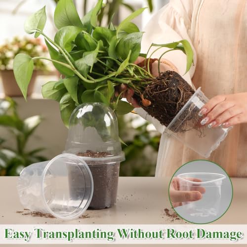 60 Pack Clear Nursery Pots with Humidity Domes (4 Inch Clear Pots With Domes-60p / 4Inch)