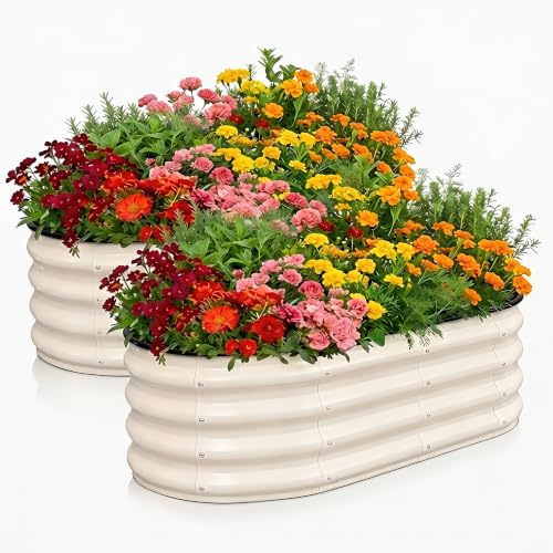 2 Pack Galvanized Raised Garden Beds Outdoor (White 2 Pcs / 4 x 2 x 1 ft)
