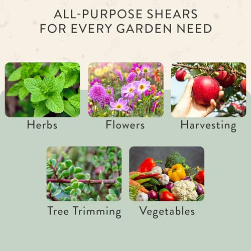 Pruning Shears (Sage)