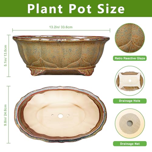 13.2 Inch Bonsai Planter (13.5 Inch / Oval Yellowish Brown)