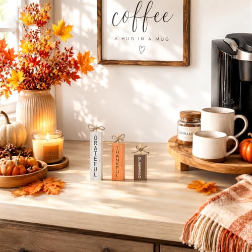 Smile Fall Wooden Decor Signs Set BLESSED GRATEFUL THANKFUL (Letter Fall)