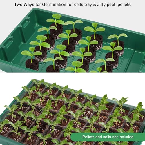 10Pack Seed Starter Tray (Green / 40-Cell 10-Pack)