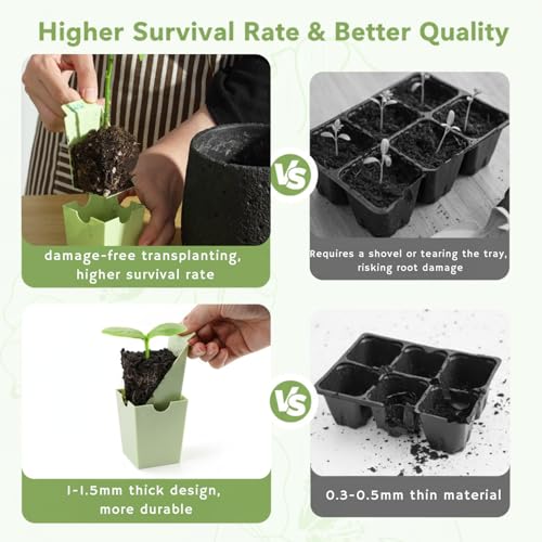 2 Pack Seed Starter Trays