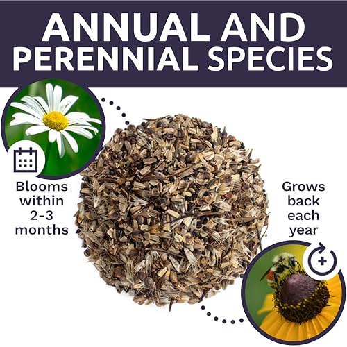 Cut Flower Garden Seeds (1/4 Pound Bag)