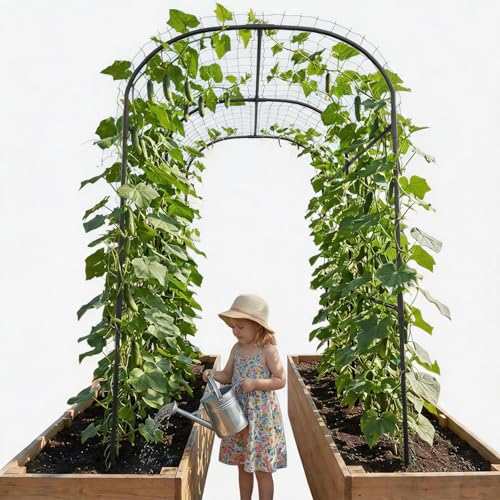 Garden Arch Trellis (71" L x 47.2" W x 83" H)