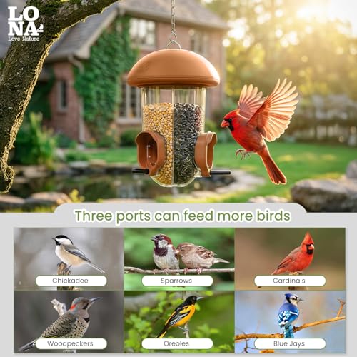LONA Bird Feeder with 3 Compartments (Brown / MAX)