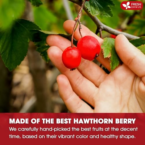 Premium Hawthorn Berry Tea (135 Tea Bags)
