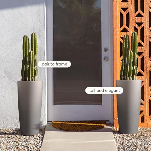 Mason Series Vega Planter (2 Count)
