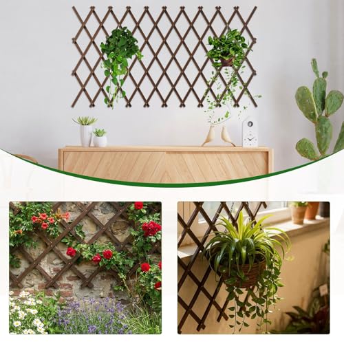 Expandable Trellis (Brown-1PC / 38" x 89")