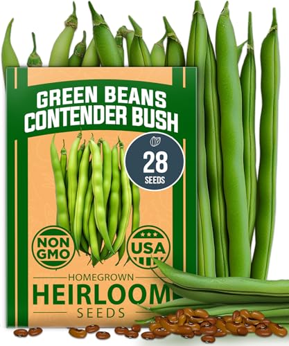 Contender Bush Bean Seeds