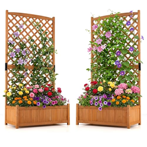 71" Raised Garden Bed with Trellis & Garden Box (2 Count)