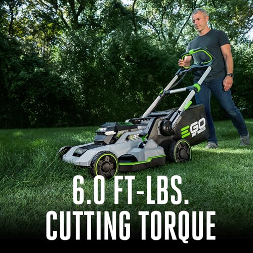 Electric Lawn Mower
