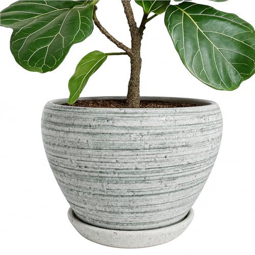 10 Inch Plant Pot (Brushed Green / 10 Inch)