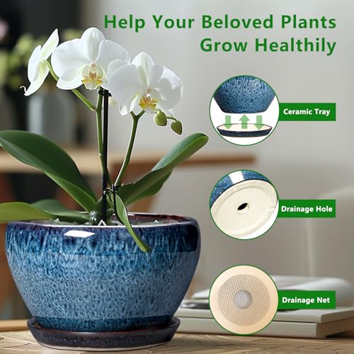 Ceramic Planter 11 Inch (11 Inch / Blue)