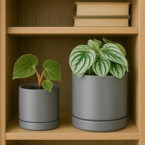 2 Pack Ceramic Pots & Saucers (2 Count)