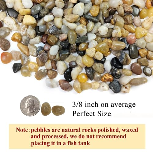Pebbles for Plants